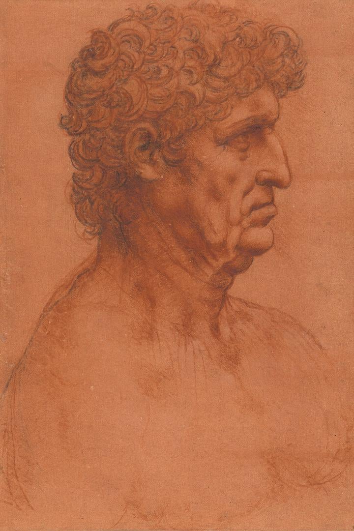 "Leonardo - Dürer" in der Albertina: Im Kopf des Genies ist es bunt