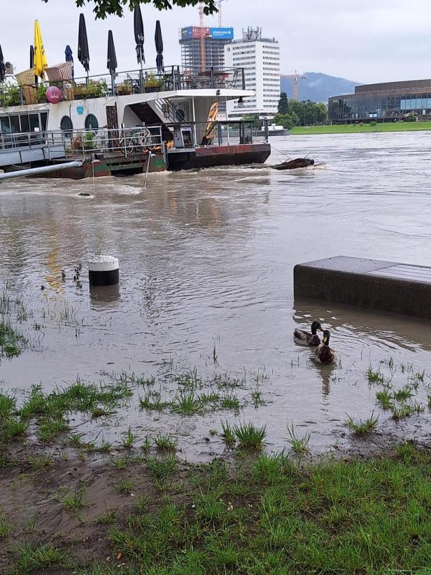Donaupegel erreichte in Linz 7 Meter, Gebiete in NÖ überschwemmt