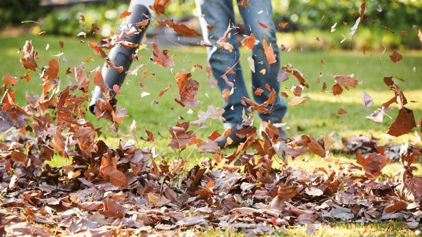 Herbstputz im Garten: So machen Sie Ihren Garten fit für den Winter