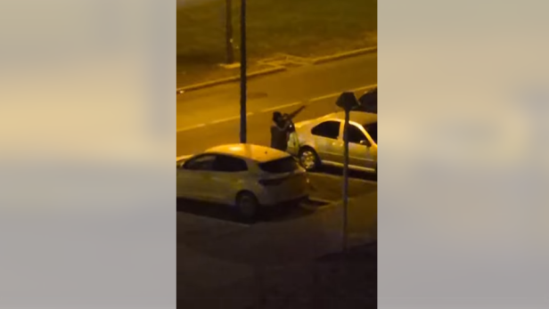 Taubenabschuss im Stadtzentrum: Wo man eine Plage immer noch mit Waffen löst