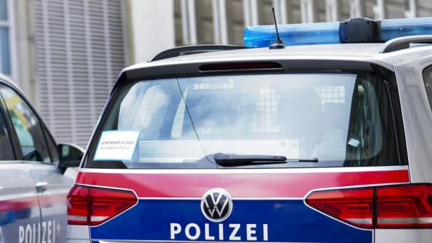 Themenbild: Polizeiauto von hinten