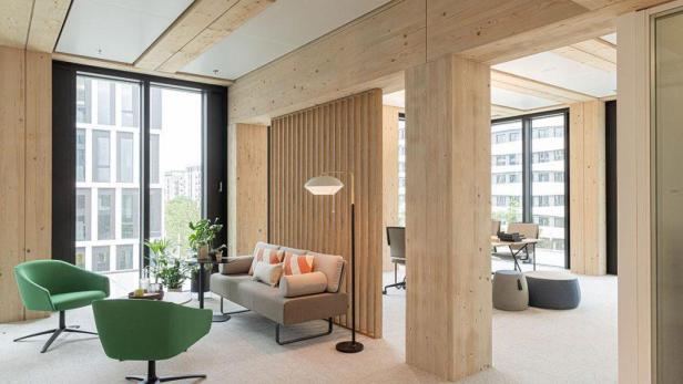 01-Timber-Pioneer-Musterbuero-1024x576