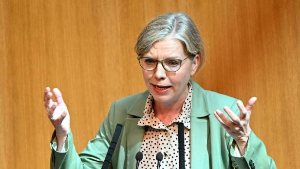 BUDGET: NATIONALRAT U.A. POSITIONEN ZU BUDGETENTWURF: GEWESSLER