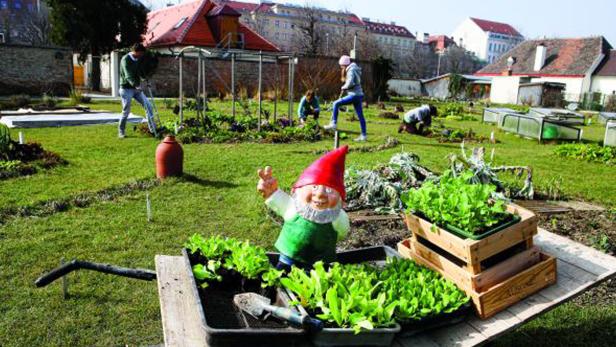 City Farm Gartenzwerg