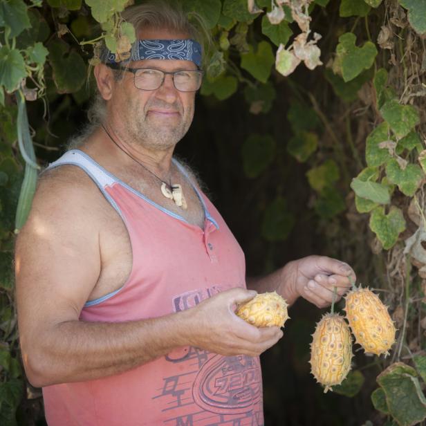 Eine Mischung aus Banane und Gurke erobert Österreich