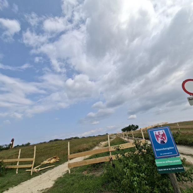 Weidezaun am Koglberg bei St. Margarethen